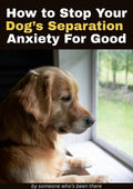 How to Stop Your Dog’s Separation Anxiety For Good