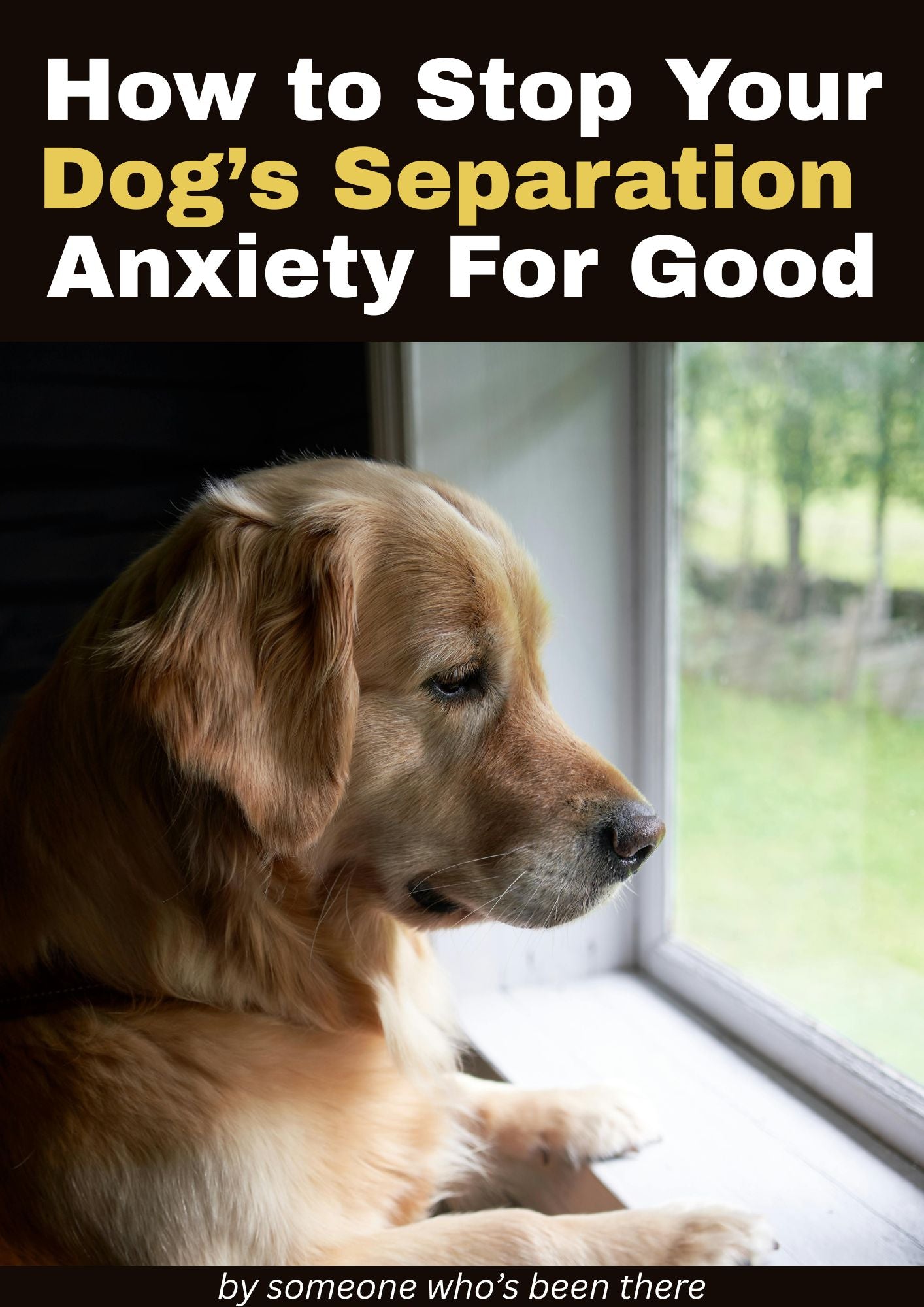 How to Stop Your Dog’s Separation Anxiety For Good